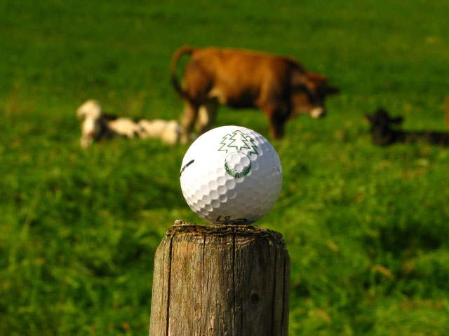 Golfclub Hochschwarzwald Mitgliedschaft